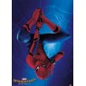 Affiche Poster Plastifié MARVEL COMICS SPIDER-MAN HOMECOMING HANG